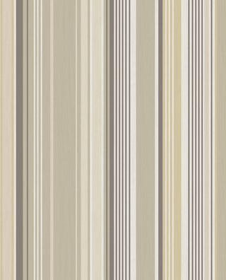 Stripes+ 377110