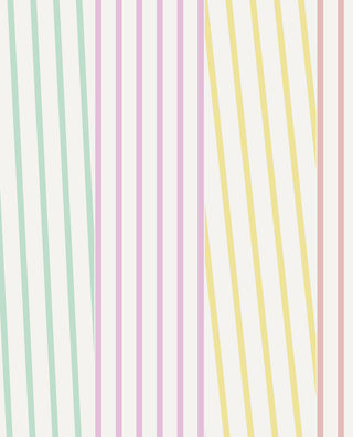 Stripes+ 377123