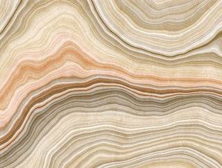 THE WALL 38229-1