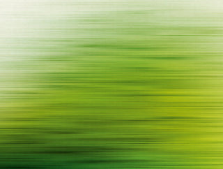 THE WALL 38261-1
