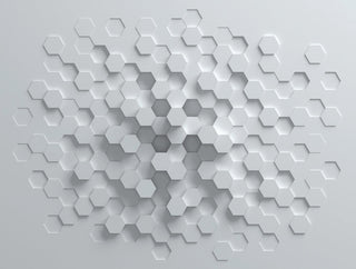THE WALL 38290-1