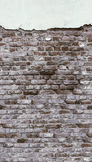 THE WALL 38333-1