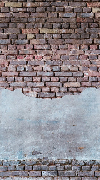 THE WALL 38334-1