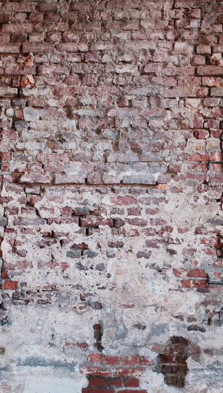 THE WALL 38335-1