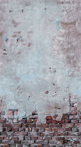 THE WALL 38336-1