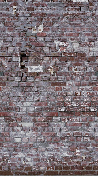 THE WALL 38337-1