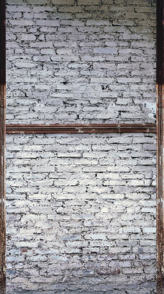 THE WALL 38351-1