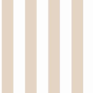 Top Stripes 38442