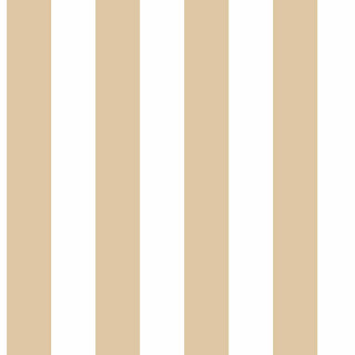 Top Stripes 38443