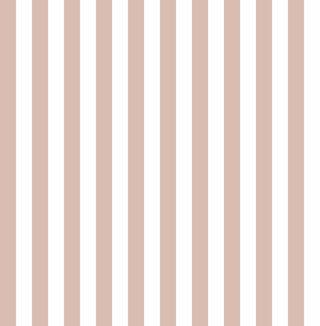Top Stripes 38454