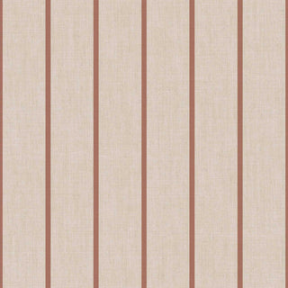 Top Stripes 38464