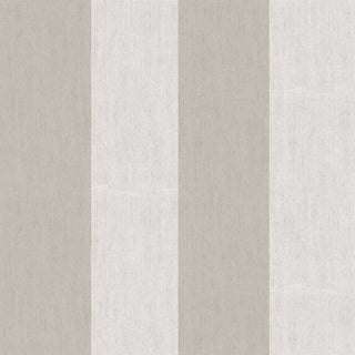 Top Stripes 38471