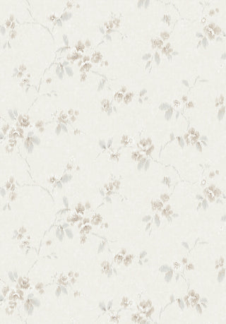 Dreamy Escape 4258