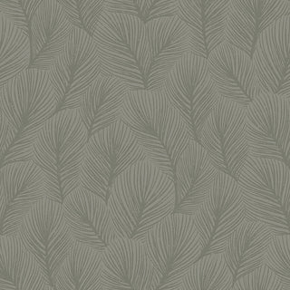 Woodland 4704