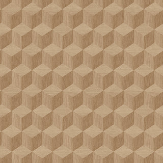 Graphics 4747