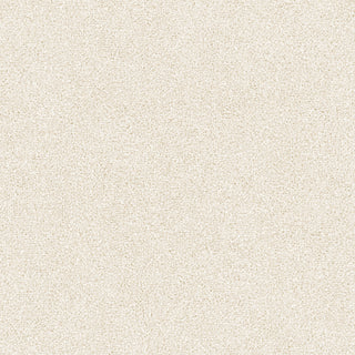 Siena 5841
