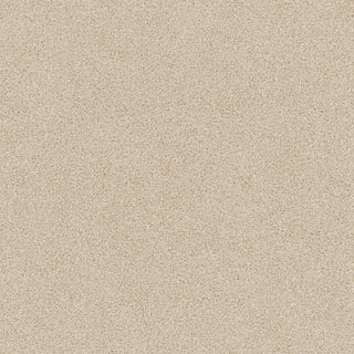 Siena 5842
