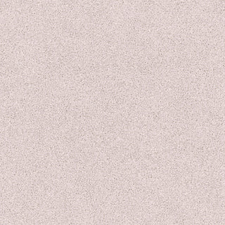 Siena 5844