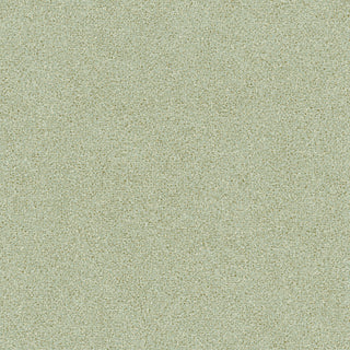 Siena 5845