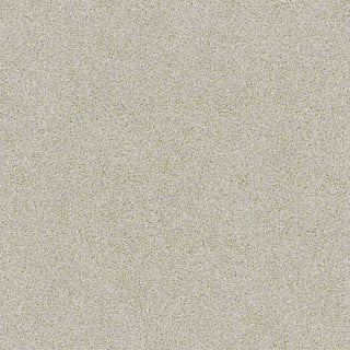 Siena 5846