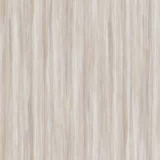 Siena 5851