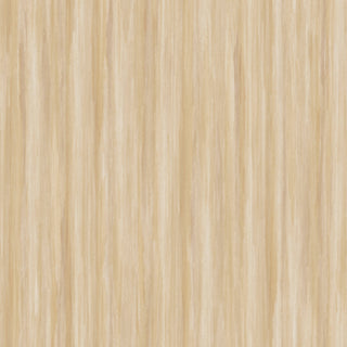 Siena 5852