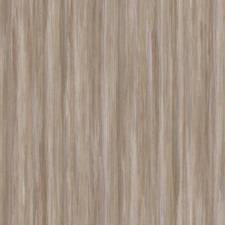 Siena 5859