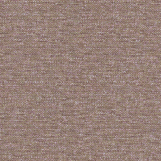 Siena 5864