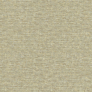 Siena 5865
