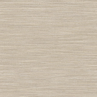 Siena 5883