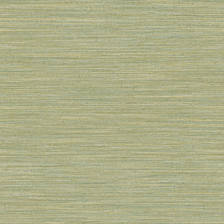 Siena 5885