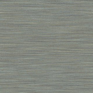 Siena 5887