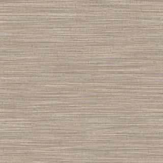 Siena 5889