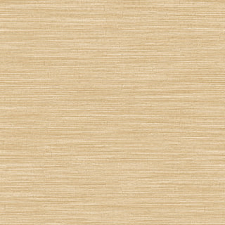 Siena 5892