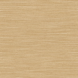 Siena 5893