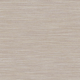 Siena 5894