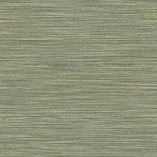 Siena 5895