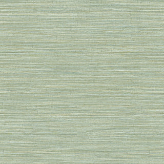 Siena 5896