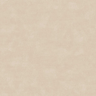 Shades 6104