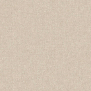 Shades 6121