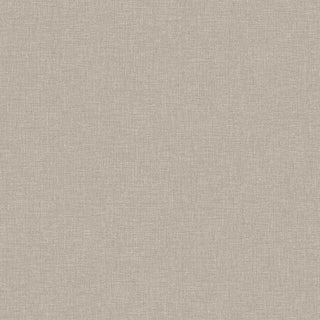 Shades 6124