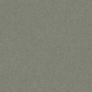 Shades 6128