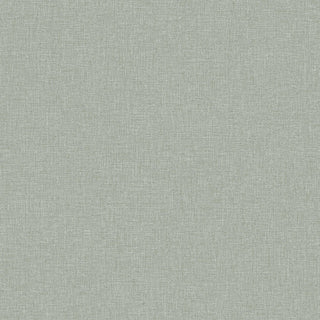 Shades 6129