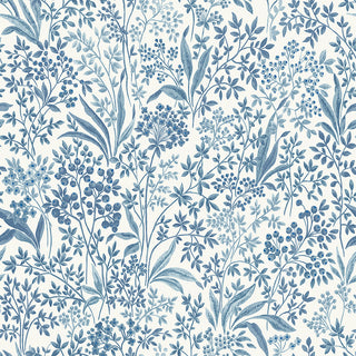 Blue & White 6145