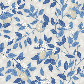 Blue & White 6149