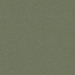 Pigment 23 7581