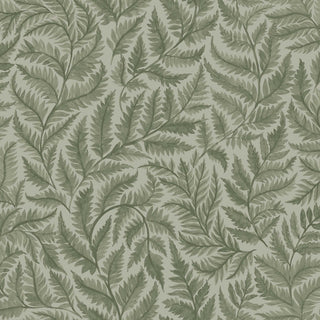 Adorn 7792