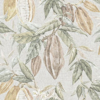 Caribbean II 8500-2
