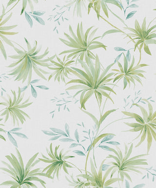 Caribbean II 8502-4