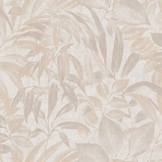 Caribbean II 8503-2